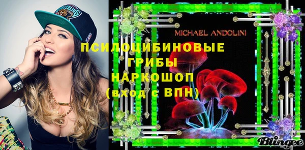 прущие грибы Бугульма