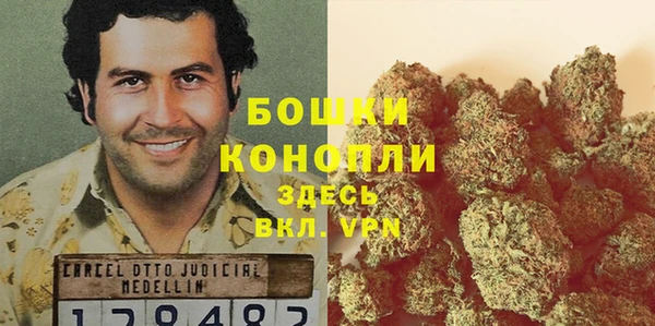 прущие грибы Бугульма