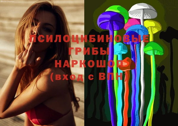 прущие грибы Бугульма