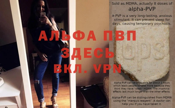 прущие грибы Бугульма