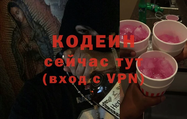 прущие грибы Бугульма