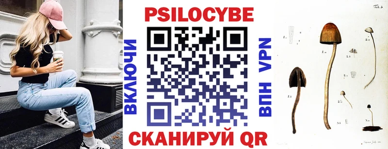 Купить закладки  Рассказово  Псилоцибиновые грибы Magic Shrooms 